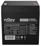 Подробнее о Njoy GP05122F 12V 5AH (BTVACEUOATF2FCN01B) AGM