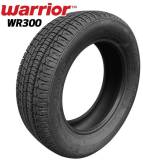 Подробнее о Warrior WR 300 215/55 R17 98V XL