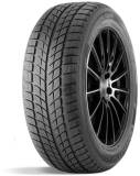 Подробнее о Doublestar DW09 235/50 R19 99H