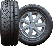 Подробнее о Habilead IceMax RW 505 195/55 R16 87H