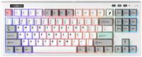 Подробнее о 1STPLAYER NEO87-FW-TLD
