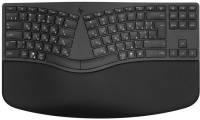 Подробнее о HP 960 BLK Ergonomic split-zone UA Black 7E755AA