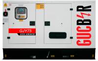 Подробнее о Gucbir GJY75