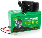 Аккумулятор VOLTRONIC 12 V 21A Li-ion