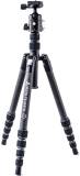 Штатив Vanguard Vesta TB 235CB