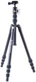 Штатив Vanguard Vesta TB 204AB