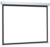 Полотно Projecta ProScreen CSR 154x240 см 10200236