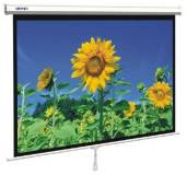 Подробнее о AV Screen 3V100MEV(4:3;100)Matte White