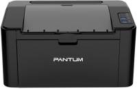 Подробнее о Pantum P2500W