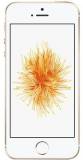 Подробнее о Apple iPhone SE 32Gb Gold MP842UA/A