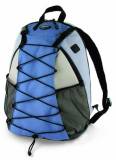 Сумка Dicota Actives BacPac Rain (blue) N7048P