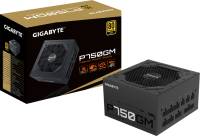 Подробнее о Gigabyte GP-P750GM