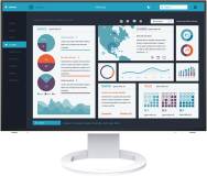 Подробнее о Eizo EV2495-WT