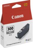 Подробнее о Canon 4200C001