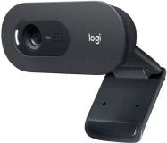 Подробнее о Logitech C505e HD 960-001372