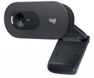 Подробнее о Logitech C505 HD Black 960-001364