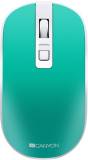Подробнее о Canyon MW-18 Wireless White/Green CNS-CMSW18A