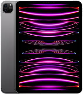 Планшет Apple iPad Pro 11 256GB M2 Wi-Fi Space Gray (MNXF3)