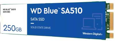 Внутренний HDD/SSD Western Digital WD BLUE SA510 250GB M.2 2280 TLC WDS250G3B0B