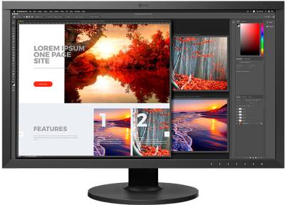 Монитор Eizo ColorEdge CS2740 CS2740-BK
