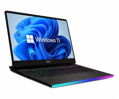 Ноутбук MSI GE77HX 12UHS GE77HX12UHS-078
