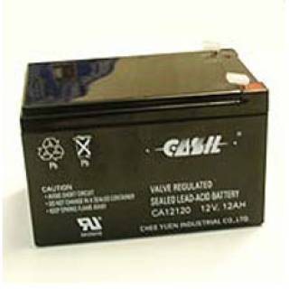 Аккумулятор Casil CA12120