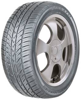 Шина Sumitomo HTR A/S P01 225/55 R17 97V
