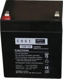Аккумуляторная батарея COSI 12V - 5Ah (CSB-125) AGM