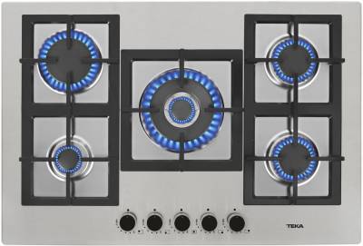 Варочная поверхность Teka EFX70.1 5G AI AL DR