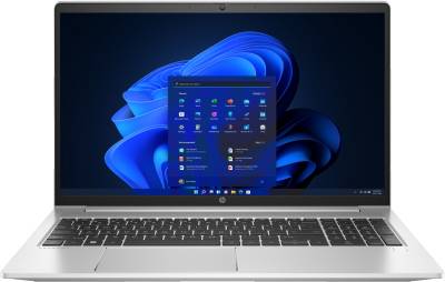 Ноутбук HP Probook 455-G10 Silver 719F6AV_V2