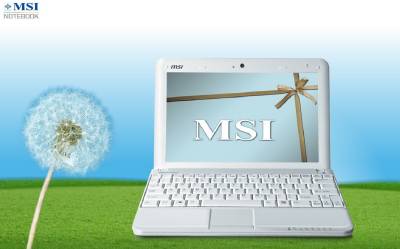 Ноутбук MSI Wind U90 U90X-037UA