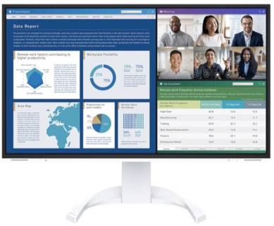 Монитор Eizo FlexScan EV2740X-WT