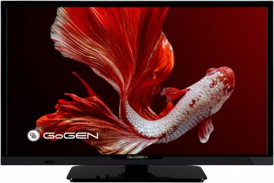 Телевизор GoGEN TVH24P352T