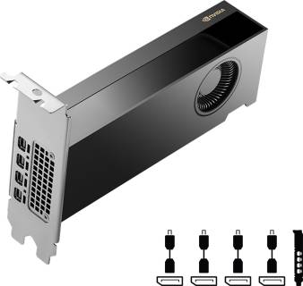 Видеокарта PNY NVIDIA RTX 2000 Ada Generation 16GB VCNRTX2000ADA-PB