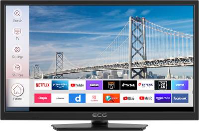 Телевизор ECG 24HSL231M