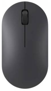 Мышка Xiaomi Mouse Lite 2 Black BHR8916GL