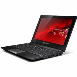 Ноутбук Packard Bell DOT S-E3-529RU LU.BUN08.018