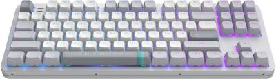 Клавиатура Dark Project ALU87 Daylight ABS RGB Mech G3MS Zircon White/Grey DPKB_DAYLIGHT_87_ANSI_UA