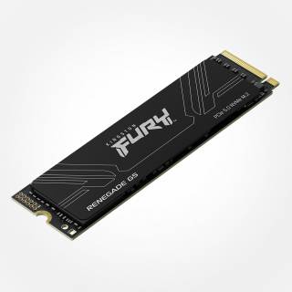 Внутренний HDD/SSD Kingston FURY Renegade G5 4TB M.2 2280 NVMe PCIe Gen5 x4 3D TLC SFYR2S/4T0