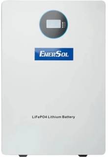 Аккумуляторная батарея EnerSol EB-SK-51.2V200Ah