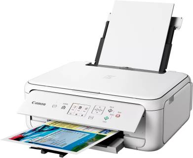 МФУ Canon PIXMA TS5151 White 2228C026AA