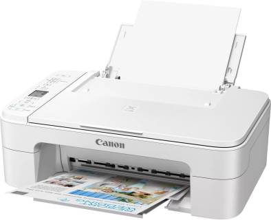 МФУ Canon Pixma TS3351 White 3771C026AA
