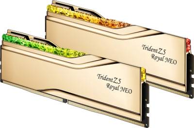 Оперативная память G.Skill Trident Z5 Royal Neo AMD EXPO Gold DDR5 64GB (2x32GB) 6000MHz CL26 Kit F5-6000J2636H32GX2-TR5NG