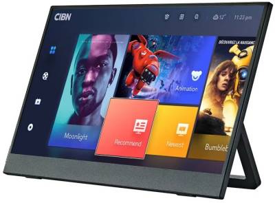 Монитор Anmite Portable Display A160W03 Black