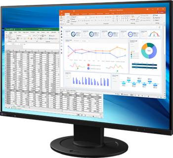 Монитор Eizo FlexScan EV2410R Black EV2410R-BK