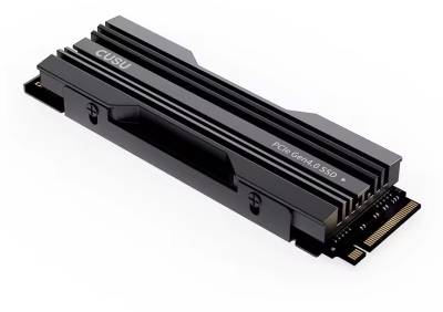Внутренний HDD/SSD CUSU CV7000-P 1TB M.2 2280 NVMe PCIe Gen4 x4 3D TLC KS2G91T0DHBL