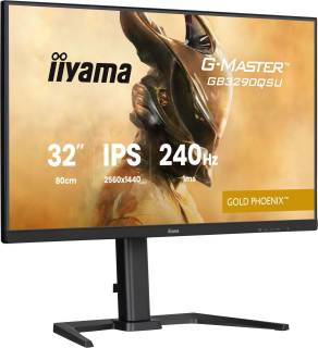 Монитор iiyama Gold Phoenix G-MASTER GB3290QSU-B1