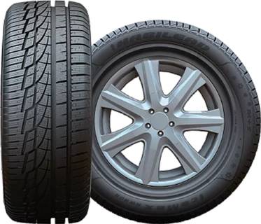 Шина Habilead IceMax RW 505 195/55 R16 87H