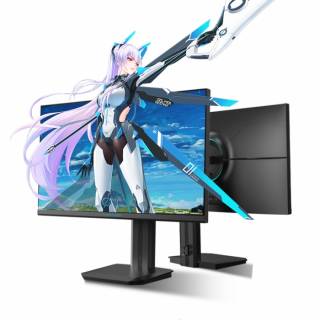 Монитор Thunderobot 24.5' Gaming Monitor Silver Wing LF25F240L JT00EC00R