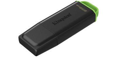 Флешка Kingston DTXG2/256GB